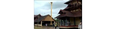80. திருவல்லவாழ்